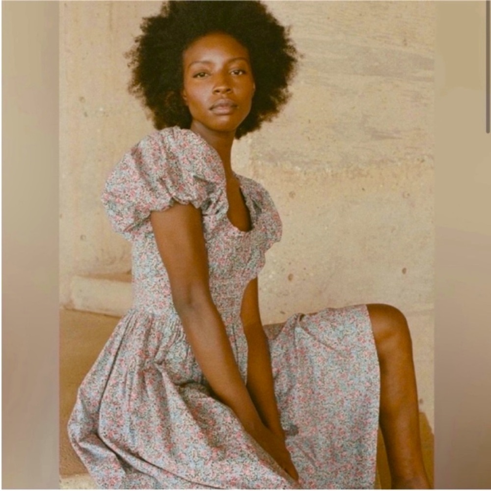 NWOT Doen Americana floral Deia dress in the beautiful petite Jardin print